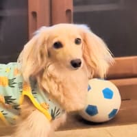 さようならの前に
