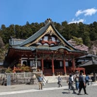 久遠寺の桜