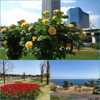 明るい公園