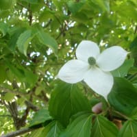 じい様の野暮用