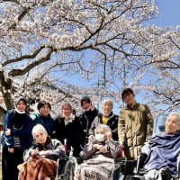 桜のお花見に出かけました！！