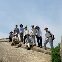絶景が楽しめる新緑の交野山（こうのさん）ハイキング