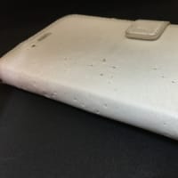 レモンの仕業