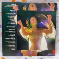 不思議なジャンクレコード