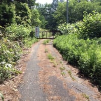 弥勒山日記　(23)　　　　　2015/05/15～2015/06/15