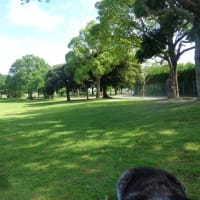 棚からぼた餅