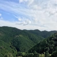 ９月２６日 栗拾い