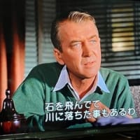 映画「めまい」を観た