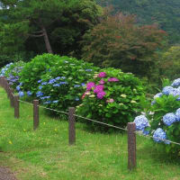 山口の風景　6月16日