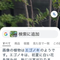 googleレンズは便利