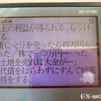 明日も素敵な日✨🪟✨