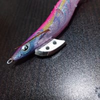 釣り日記 11月11日 アオリイカ乗り合い船 蒼信丸 ムラムラチェリー大爆発
