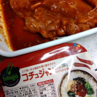 来客時の酒肴と今日のヤンニョムチキン