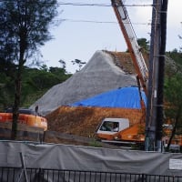 【拡散願います】【補足】二見入り口から第4ゲートへー座り込み後に野鳥の遺体と遭遇（20250530ー①）