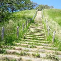 行田市駅からさきたま古墳公園まで歩く