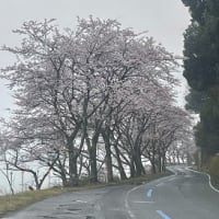 青春の頃を過ごした街で９