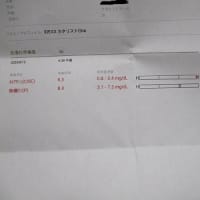 ジーンちゃんの経過