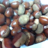 栗の季節です