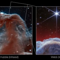 ウェッブが象徴的な馬頭星雲の頂上をこれまでにない詳細で撮影