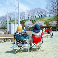 お花見の女性二人
