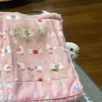胃カメラ