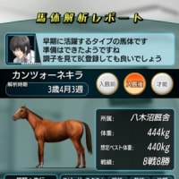ダビマスでいい馬が生まれました