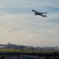 北の大地でよっつめハンバーガーどうでしょう