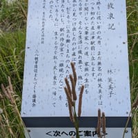 林芙美子の碑に献花