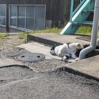この広い星のもと