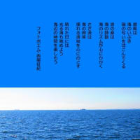 海のエッセンス
