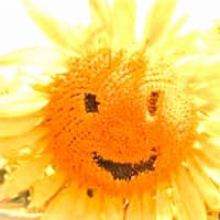 日本の夏　キンチョーの夏