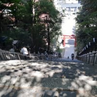 梅雨の晴れ間の愛宕神社