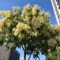 速記の話　その2