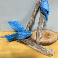 やはり鳥はつがい？