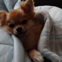 メイと映画鑑賞