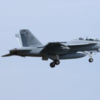 2025年4月18日 厚木基地 R/W19 “日米親善桜まつりフライ・イン抜粋版”