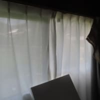 暑すぎて、、、