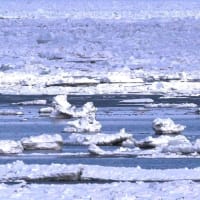 流氷の海 オホーツク（知床半島とその周辺） №４