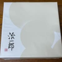 やっぱり買ってしまいました