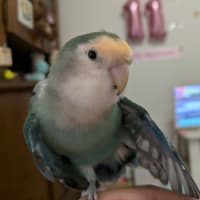 自分のペースで頑張ろう✨