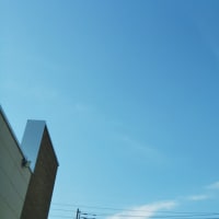 初夏の青空を 家の外で眺められた日🌞