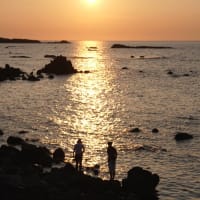 7月の水辺の風景