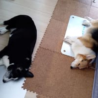 梅雨明け？！