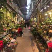 上海お出掛け 第3弾「上海虹橋花卉市場のクリスマス」