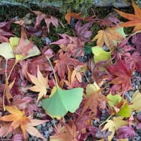 Vol. 2217 奈良県宇陀市大願寺・訪問記！