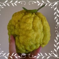 ひさしぶり