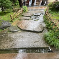 梅雨