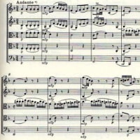解放された Viola