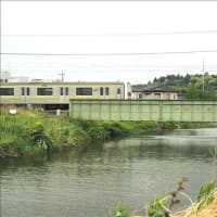 作田川の散策、爽やかな風が流れる川の畔です。