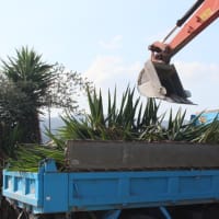 二刀流の復活と猛暑の作業